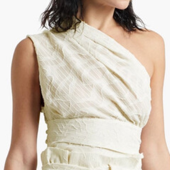 IRO Tops - IRO xs
Rinie one-shoulder pleated fil coupé chiffon top.. perfect condition